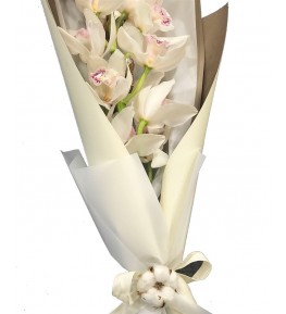 SAN MİGUEL DE ALLENDE